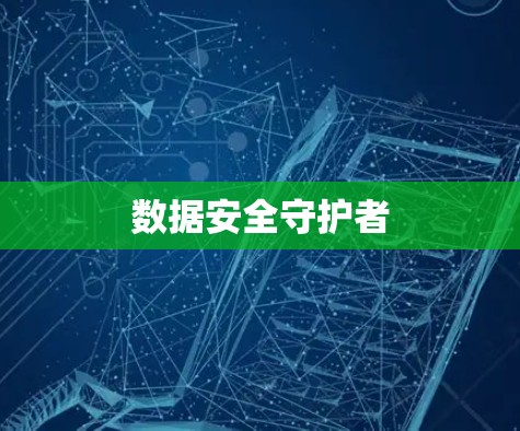 数据安全守护者