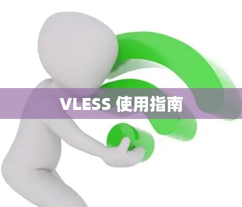 VLESS 使用指南
