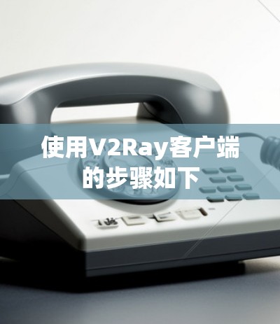 使用V2Ray客户端的步骤如下