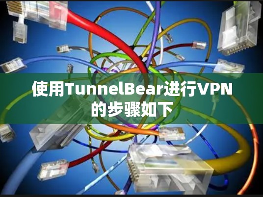 使用TunnelBear进行VPN的步骤如下