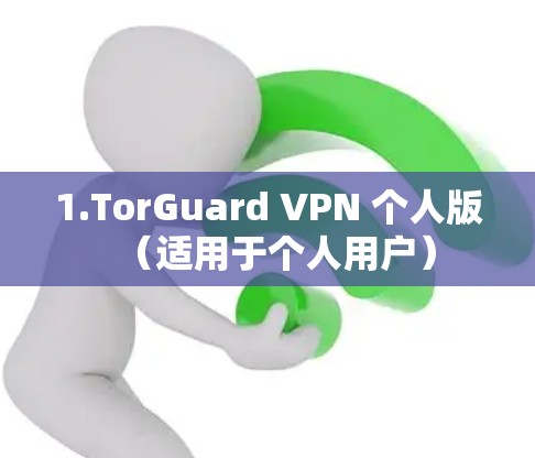 1.TorGuard VPN 个人版（适用于个人用户）