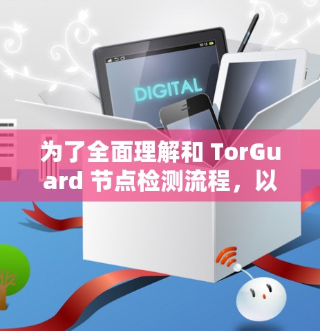 为了全面理解和 TorGuard 节点检测流程，以下是一个清晰的步骤指南