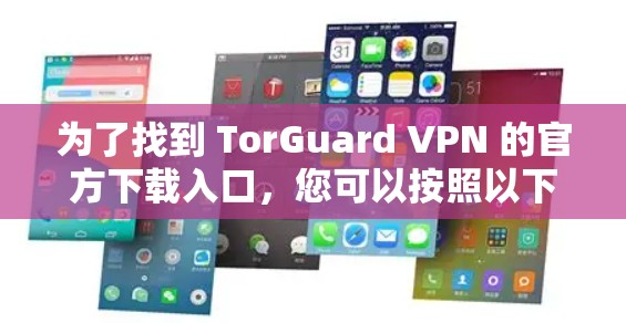 为了找到 TorGuard VPN 的官方下载入口，您可以按照以下步骤操作