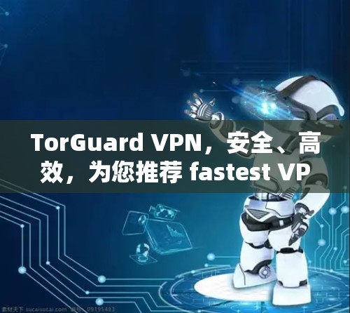 TorGuard VPN，安全、高效，为您推荐 fastest VPN