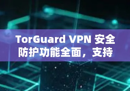 TorGuard VPN 安全防护功能全面，支持多设备使用，提供加密传输服务