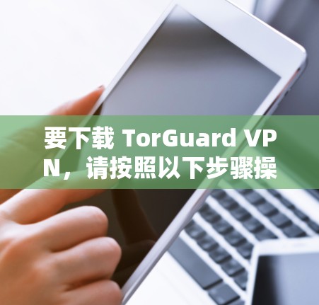 要下载 TorGuard VPN，请按照以下步骤操作