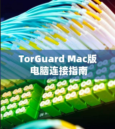 TorGuard Mac版 电脑连接指南