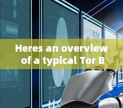 Heres an overview of a typical Tor Browser client or extension: