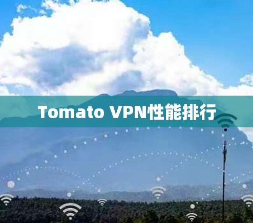 Tomato VPN性能排行