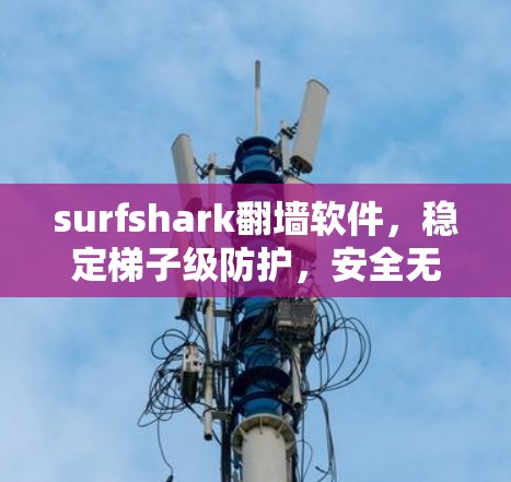 surfshark翻墙软件，稳定梯子级防护，安全无小事