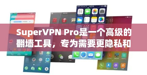 SuperVPN Pro是一个高级的翻墙工具，专为需要更隐私和安全的用户设计。它通过连接多个翻墙服务器来保护用户的数据，提供端到端加密和更复杂的翻墙设置。以下是关于SuperVPN Pro的详细信息