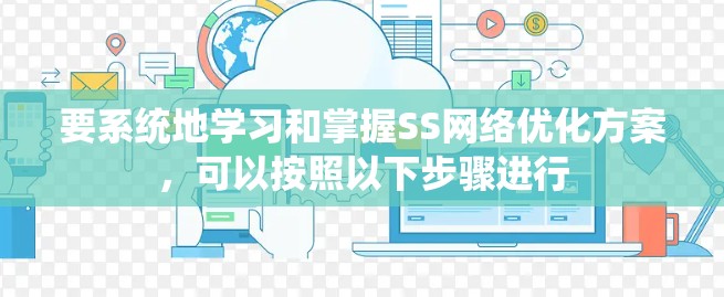 要系统地学习和掌握SS网络优化方案，可以按照以下步骤进行