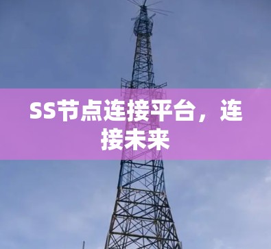 SS节点连接平台，连接未来