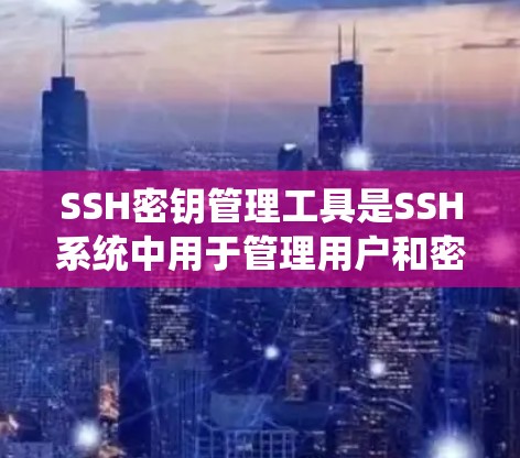 SSH密钥管理工具是SSH系统中用于管理用户和密钥的工具,涵盖了生成、读取、保存和重置密钥文件的功能。以下是对这些工具的详细总结和解释 SSH密钥管理工具是SSH系统中用于管理用户和密钥的工具,涵盖了生成、读取、保存和重置密钥文件的功能。以下是对这些工具的详细总结和解释