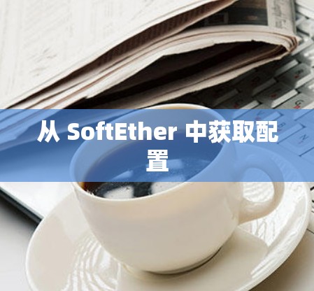 从 SoftEther 中获取配置