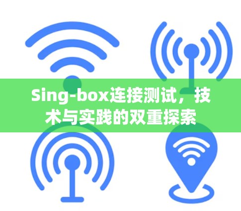 Sing-box连接测试,技术与实践的双重探索 Sing-box连接测试,技术与实践的双重探索