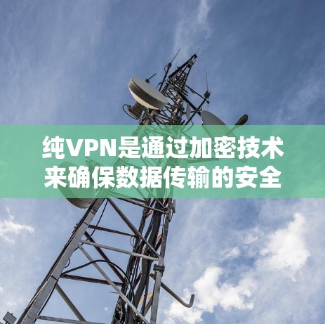纯VPN是通过加密技术来确保数据传输的安全性，理论上是安全的。然而，实际的安全性取决于多种因素，包括网络环境、加密技术的版本、用户自身对网络环境的控制以及对潜在安全威胁的防御措施。以下是一些关键点