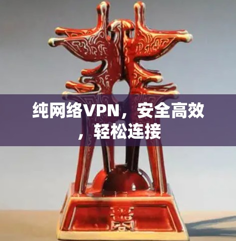 纯网络VPN，安全高效，轻松连接