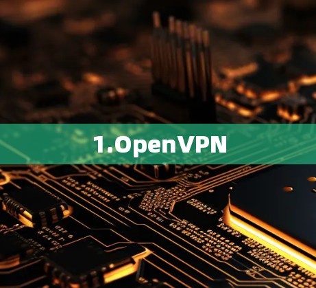 1.OpenVPN 1.OpenVPN